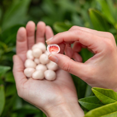 Grab & Share Hd Strawberries & Creme 3.4 Oz - 3.4 OZ - Image 4