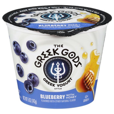 Greek Gods Blueberry Greek Yogurt 5oz - 5 OZ