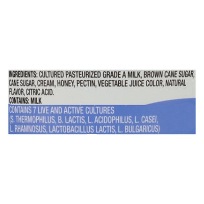 Greek Gods Blueberry Greek Yogurt 5oz - 5 OZ - Image 4
