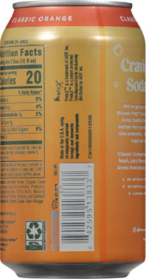 Bloom Pop Classic Orange 12fz - 12 FZ - Image 5