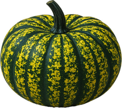 Lolita Ornamental Pumpkin - Each - Image 1