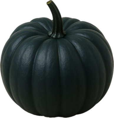 Noche Ornamental Pumpkin - Each - Image 1