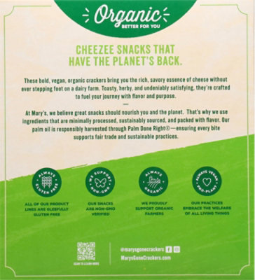 Marys Gone Crackers Cheese & Herb 4oz - 4 OZ - Image 5