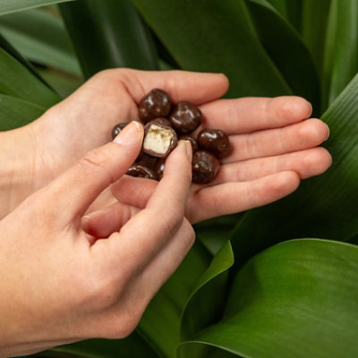 Grab & Share Hd Bananas In Dark Chocolate 3.4 Oz - 3.4 OZ - Image 4