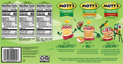 Motts As 3flv Vp Ns Pch 12pk Fall Motts 3.2oz - 38.4 OZ - Image 5