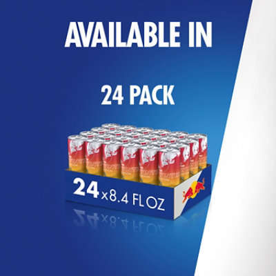 Red Bull Winter Edition Energy Drink Fuji Apple & Ginger - 8.4 Oz - Image 8