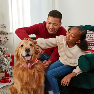 Milk-bone 2.85oz Holiday 12 Day Treat Calendar - 2.85 OZ - Image 1