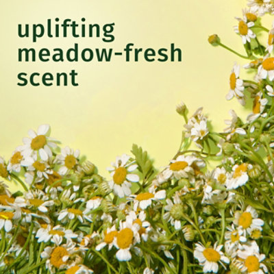 Herbal Essences Classics Hair Conditioner Shine Rinse Off - 33.8 FZ - Image 6