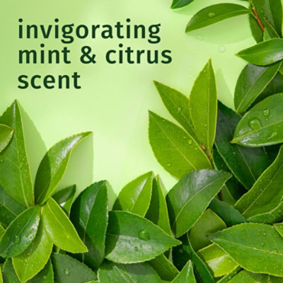 He Cls Clrfy Sh/pur Cn 13.5z 4ct Dp - 13.5 FZ - Image 7