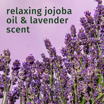 Herbal Essences Classics Hair Conditioner Curls Rinse Off - 33.8 FZ - Image 6