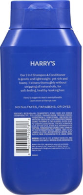 Harrys 25 2-in-1 Shampoo Stone 14 Fl Oz - 14 FZ - Image 4