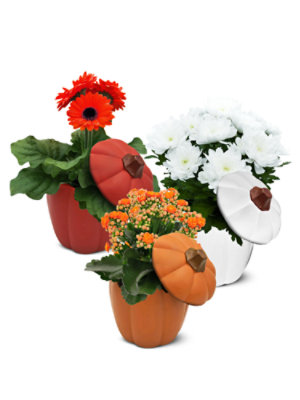 Blooming In Ceramic Pumpkin With Lid 4.5 Inch - Each - Image 1