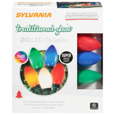 Inl Led Frst C9 Lts Multi - 20 CT - Image 1