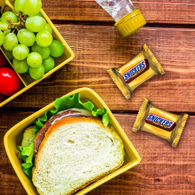 Snickers Peanut Butter Fun Size Stand Up Pouch - 8.29 OZ - Image 4