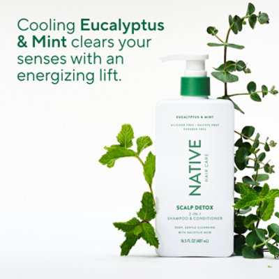Native 2n1 Scalp Care Eucalyptus Mint - 16.5 FZ - Image 8