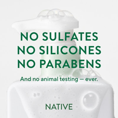 Native 2n1 Scalp Care Eucalyptus Mint - 16.5 FZ - Image 7