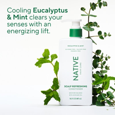 Native Scalp Care Cond Eclypts Mint - 16.5 FZ - Image 7
