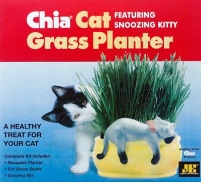 Chia Cat Grass Ft Snoozing Kitty - EA - Image 2