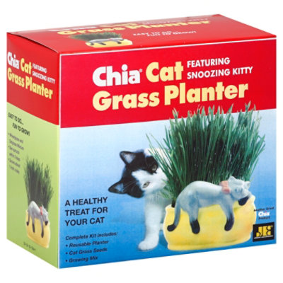Chia Cat Grass Ft Snoozing Kitty - EA - Image 1