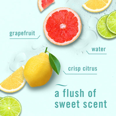 Febreze Small Spaces Bathroom Odor Fighter Air Freshener Citrus Breeze .25 Fl Oz - .25 FZ - Image 3
