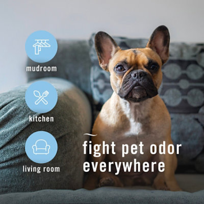 Febreze Air Mist Air Freshener Pet Odor Fighter Fresh Scent - 2-8.8 Oz. - 2-8.8OZ - Image 4