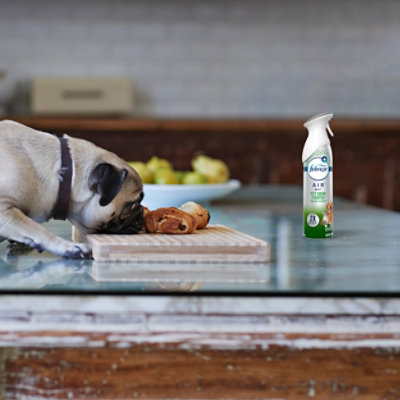 Febreze Air Mist Air Freshener Pet Odor Fighter Fresh Scent - 2-8.8 Oz. - 2-8.8OZ - Image 5