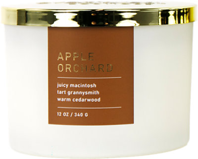 Overjoyed Boutique Frosted Candle Apple Orchard - Each - Image 1
