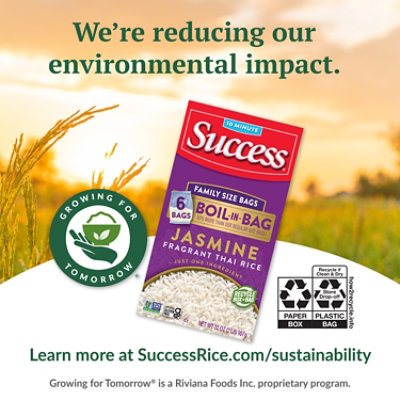 Success Jasmine Rice - 32 Oz - Image 4