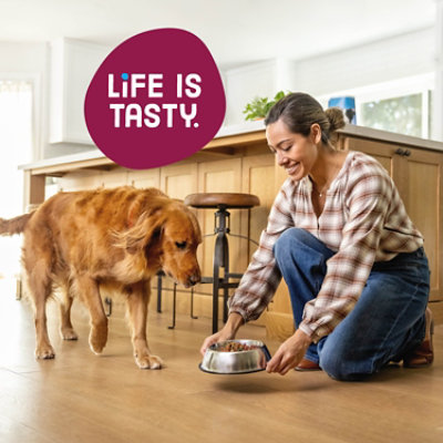 Kibbles N Bits Bacon & Steak Dog Food - 16 LB - Image 2