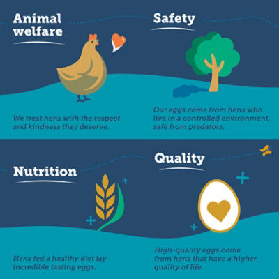 Love Your Eggs Outdoor Cage Free 1 Dz - 12 CT - Image 4