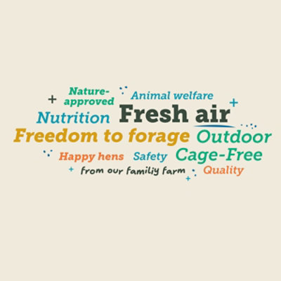 Love Your Eggs Outdoor Cage Free 1 Dz - 12 CT - Image 5