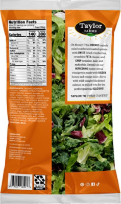 Taylor Farms Organic Honey Citrus Chopped Salad Kit 9.25oz - 9.25 OZ - Image 6