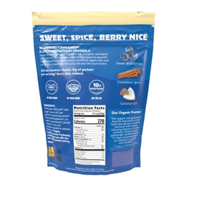Natures Path Granola Bluberry Cinnamon Protein - 10 OZ - Image 2