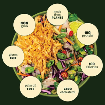 Daring Chicken Plant Based Shreddedken 8 Oz - 8 OZ - Image 2