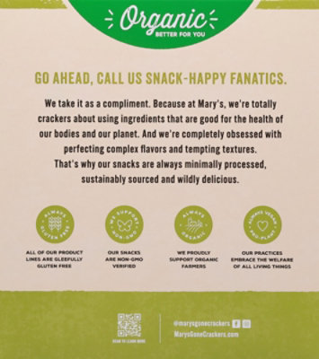 Marys Gone Crackers Rosemary Super Seed 4oz - 4 OZ - Image 5