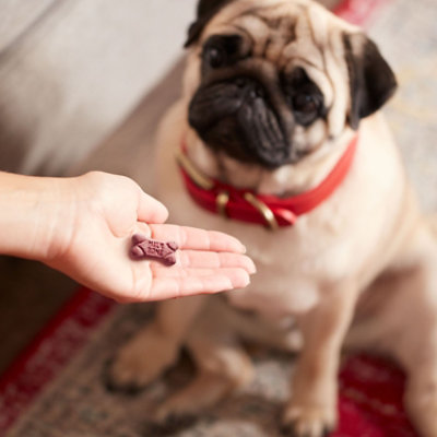 Milk-bone Holiday Minis Candy Cane 4.5oz - 4.5 OZ - Image 3