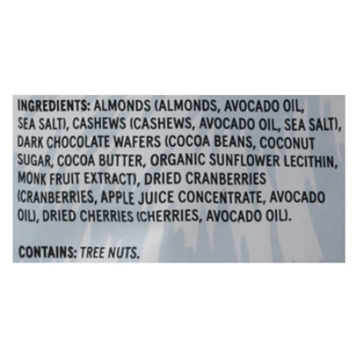 Wild Fox Trail Mix Dark Chocolate Berry 10oz - 10 OZ - Image 4