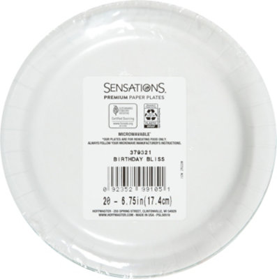 Sensation Lunch Plate Bday Bliss - 20 CT - Image 3