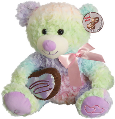 Signature SELECT Chocolate Scented Tie Dye Teddy - Each - Image 1