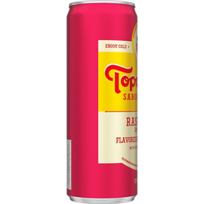 Topo Chico Sabores Raspberry Lemon - 12 Oz - Image 4