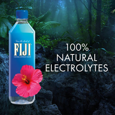Fiji Water 6-700ml - 6-700 ML - Image 4