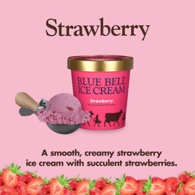 Blue Bell Ic Crm Strawberry - HG - Image 2