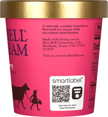 Blue Bell Ic Crm Strawberry - HG - Image 5