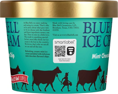 Blue Bell Mint Chocolate Chip Ice Cream - Half Gallon - HG - Image 5