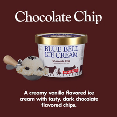 Blue Bell Ic Crm Chocolate Chip - HG - Image 2