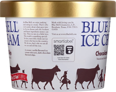 Blue Bell Ic Crm Chocolate Chip - HG - Image 5
