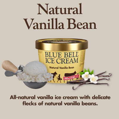 Blue Bell Natural Vanilla Bean Ice Cream - Half Gallon - HG - Image 2