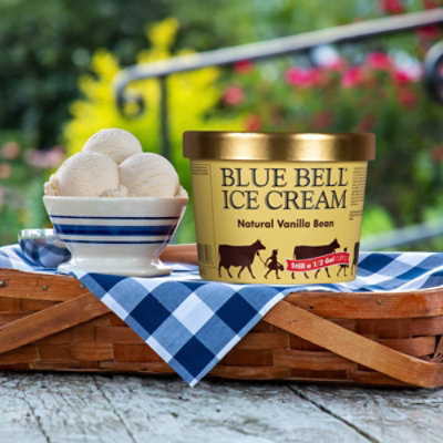 Blue Bell Natural Vanilla Bean Ice Cream - Half Gallon - HG - Image 3