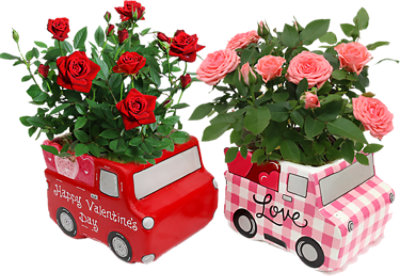 Rose Truck Full Of Love Ceramic 4 Inch - Each - Image 1