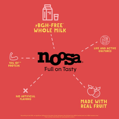 Noosa Strawberry Mix-ins Yoghurt 5.8 Oz - 5.8 OZ - Image 5